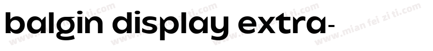balgin display extra字体转换
